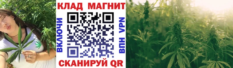 Где можно купить наркотики Ясный СК  Меф  ГАШ  МДМА  COCAIN 