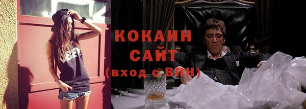 бошки Алексин