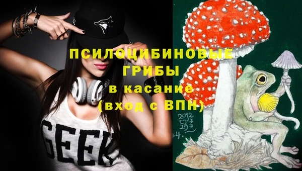 гашик Алзамай