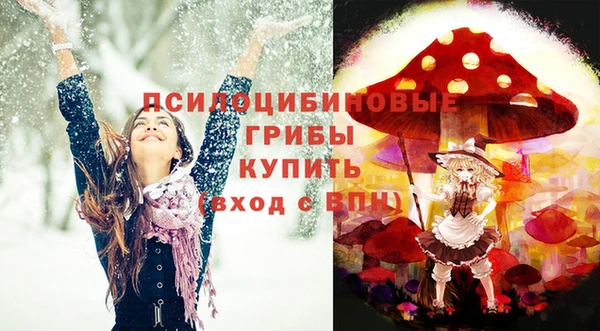 бошки Алексин