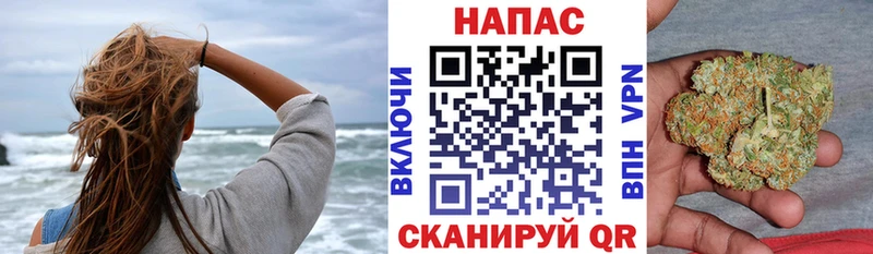 Шишки марихуана конопля  Ясный 